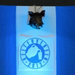 ebbelwoiprob2017_bild_002