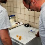 ebbelwoiprob2017_bild_021