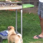 kv-poolparty2013_03