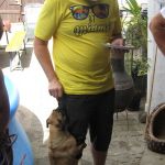 kv-poolparty2013_21