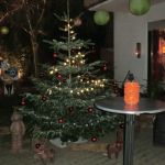 silvester2016-17_008