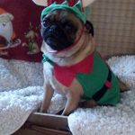 Xmas-Party-2014-Frieda